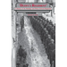 Duffy's Regiment: A History of the Hastings and Prince Edward Regiment