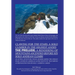 Clawing for the Stars: a Solo Climber in the Highest Andes: The Prelude: a Rendering of Mountains Ascended Before My Solo Andean Climbs