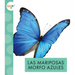 Las Mariposas Morfo Azules