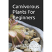 Carnivorous Plants For Beginners