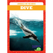 Dive