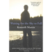 Waiting for the Sky to Fall