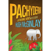 Pachyderm