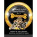 The Search for the Magical Golden Bone: A tale of 3 dogs, lifelong friends, and their journey to seek out the long-lost mysteries it contains