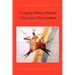 Changing Military Patterns of the Great Plains Indians