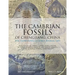 The Cambrian Fossils of Chengjiang, China: The Flowering of Early Animal Life