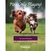 He's Only Playing: Meeting, Greeting and Play Between Dogs. What's Ok, What's Not.