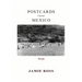 Postcards from Mexico: Poems