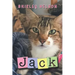 Jack