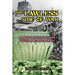The Lawless Side of War: Making Millions on the Vietnam Black-Market - A Fictional Memoir