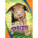 Pigs