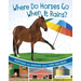 Where Do Horses Go When It Rains?: Questions and Answers about Farm Buildings
