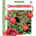 Cranberries