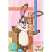 Bunny Rabbit