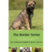 The Border Terrier: A vet's guide on how to care for your Border Terrier dog