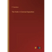 The Violin: A Concise Exposition