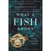 What a Fish Knows: The Inner Lives of Our Underwater Cousins