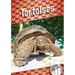 Tortoises