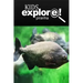 Piranha - Kids Explore: Animal books nonfiction - books ages 5-6