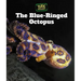 The Blue-Ringed Octopus