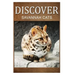Savannah Cats - Discover: Early reader's wildlife photography book