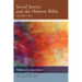 Social Justice and the Hebrew Bible, Volume Two