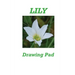 Lily Drawing Pad