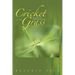 Cricket in the Grass: Memories of Chasing a Dream