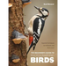 The Beginner's Guide to Photographing Birds: Essential Techniques for Hobbyists and Bird Lovers