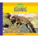 Iguanas