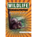 Wildlife Rehabilitation