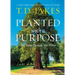 Planted with a Purpose: God Turns Pressure Into Power