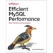 Efficient MySQL Performance: Best Practices and Techniques