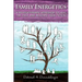 Family Energetics: A Revolutionary Approach To Heal the Past and Reshape Your Future
