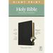 NLT Personal Size Giant Print Bible, Filament Enabled Edition (Red Letter, Genuine Leather, Black, Indexed)