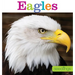 Seedlings: Eagles