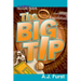 T.J. & Blake Treasure Finders ? The Big Tip