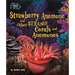 Strawberry Anemone and Other Strange Corals and Anemones