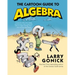 The Cartoon Guide to Algebra