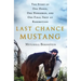 Last Chance Mustang