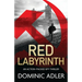 Red Labyrinth: a gripping and action-packed Cold War thriller
