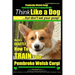 Pembroke Welsh Corgi, Pembroke Welsh Corgi Training AAA AKC: Think Like a Dog, But Don't Eat Your Poop! - Breed Expert Dog Training: Here's EXACTLY Ho