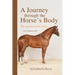 A Journey Through the Horse's Body: The Anatomy of the Horse