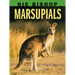 Nic Bishop: Marsupials