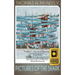 Pictures of the Shark: Stories