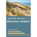 Nature Walks in the Indiana Dunes