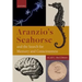 Aranzio's Seahorse and the Search for Memory and Consciousness