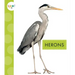 Herons