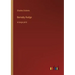 Barnaby Rudge: in large print