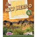 New Mexico